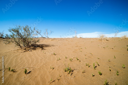 sand dunes in the desert