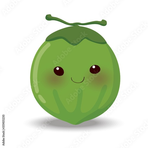 Coconut