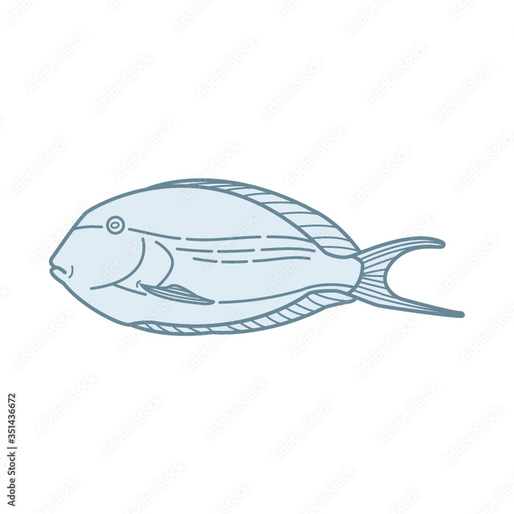 fish fish