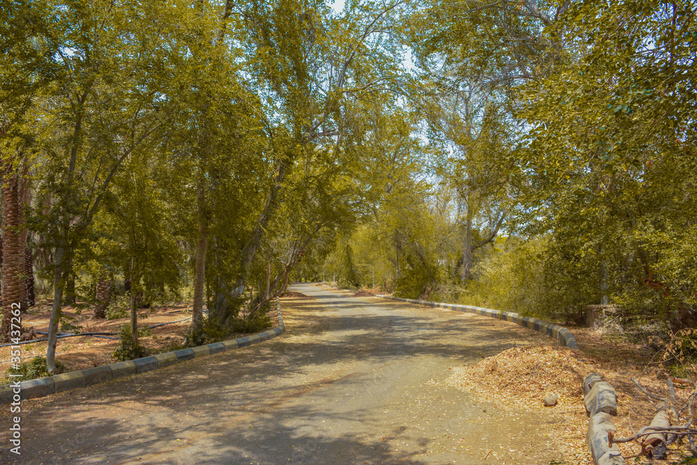 Obraz premium Beautiful village road in Jeddah, Saudi arabia