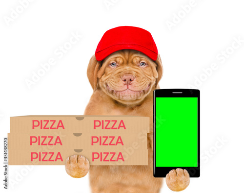 Smiling pizza delivery dog wearing red cap holds pizza boxes and shows empty screen of a smartphone. isolated on white background © Ermolaev Alexandr