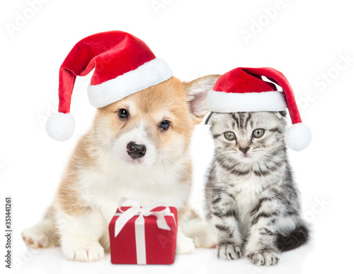 Funny pembroke welsh Corgi puppy and gray tabby kitten wearing red christmas hats sit together with gift box. isolated on white background © Ermolaev Alexandr