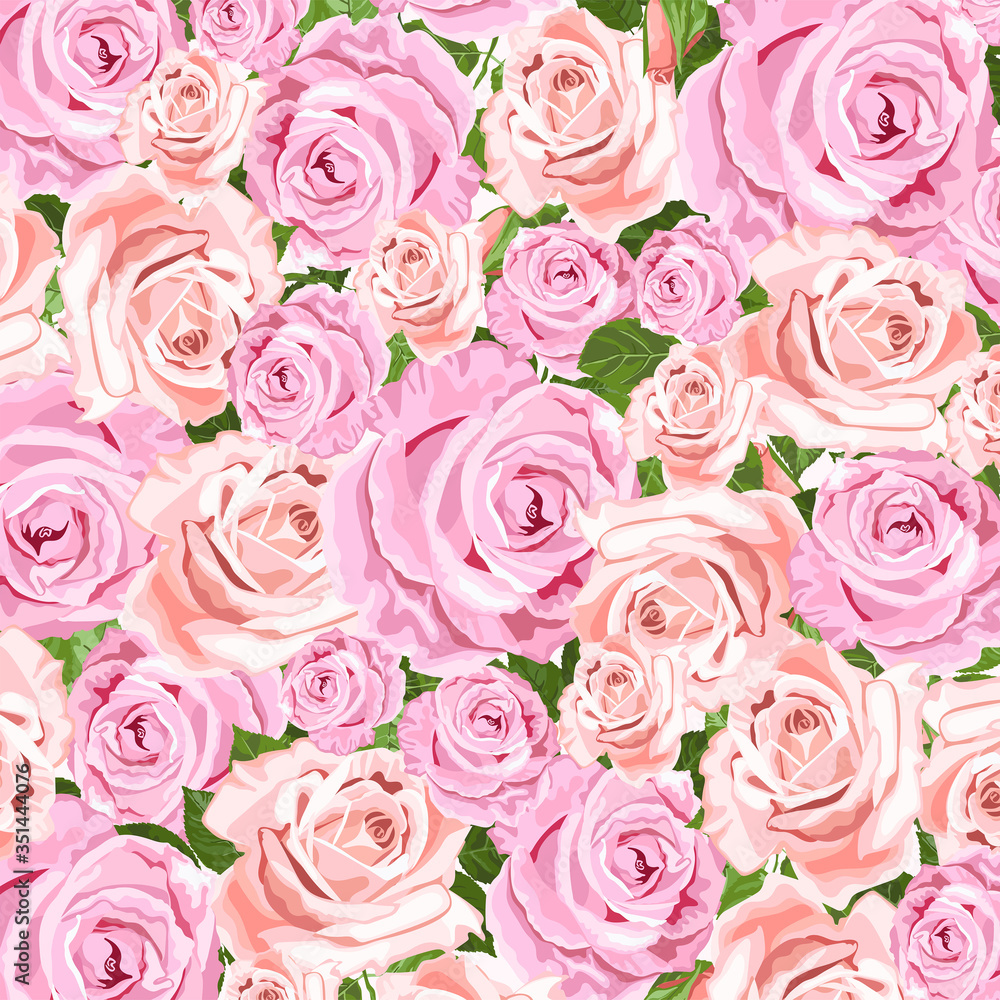 Fototapeta premium Pale pink roses floral vector design