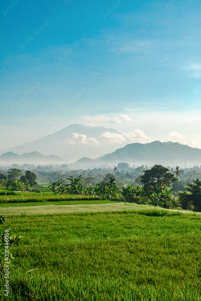 Green rice terraces against the backdrop of the Agung volcano on the island of Bali. Morning Balinese landscape. Morning rice field and volcano in a haze.