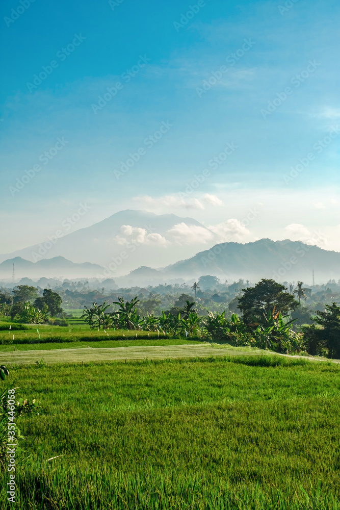 Green rice terraces against the backdrop of the Agung volcano on the island of Bali. Morning Balinese landscape. Morning rice field and volcano in a haze. Green rice terraces against the backdrop of the Agung volcano on the island of Bali. Morning Balinese landscape. Morning rice field and volcano in a haze.