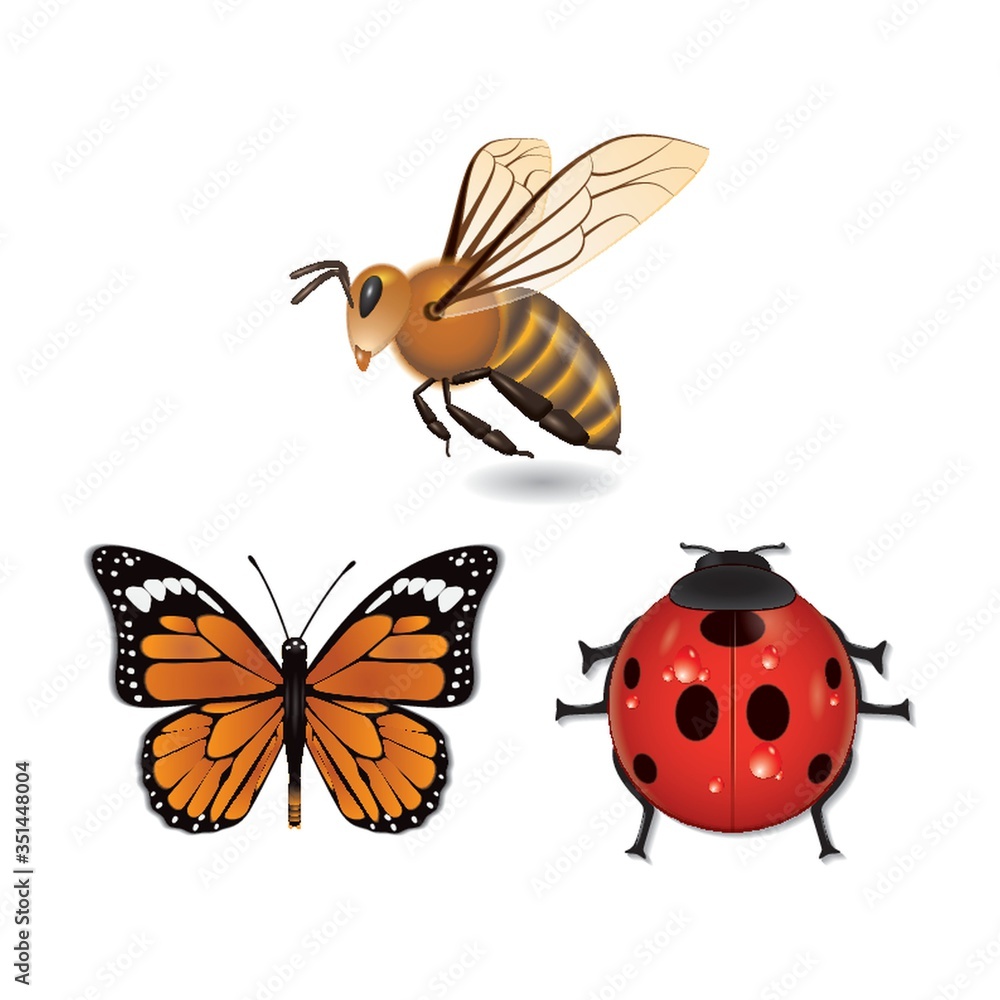 Obraz premium set of insects