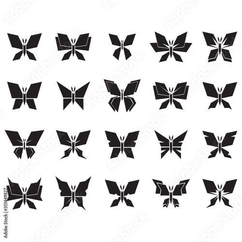 collection of butterflies