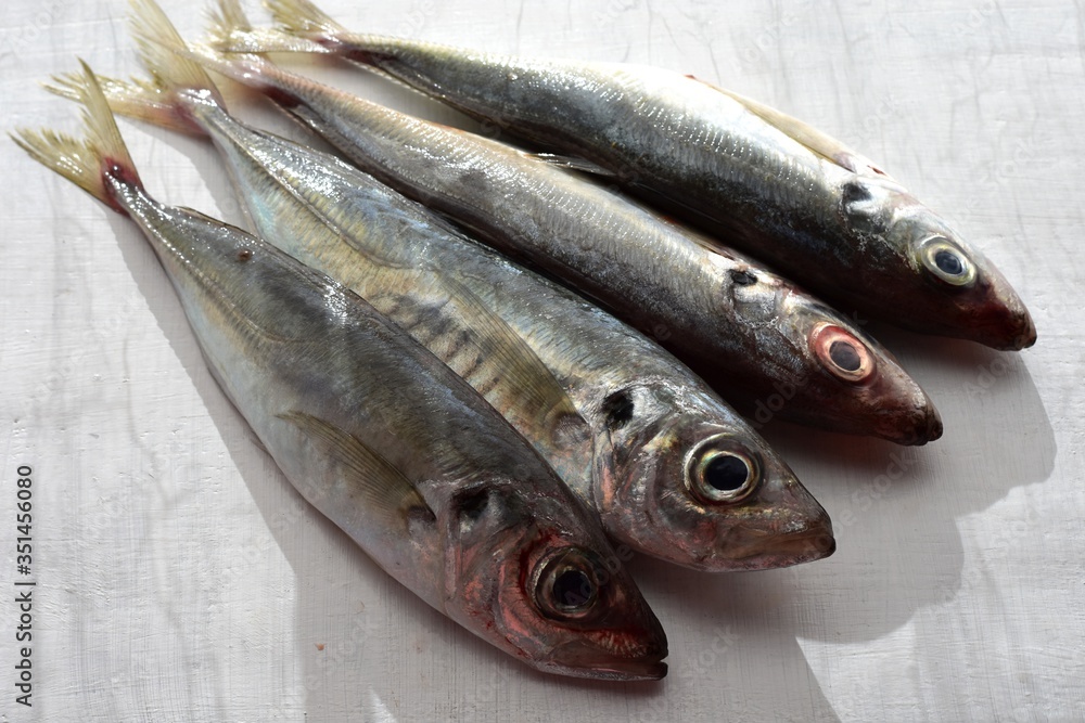 Closeup Fresh Saba fish (Mackerel) at white wooden background/ Food preparation/ Healthy Mediterranean cuisine