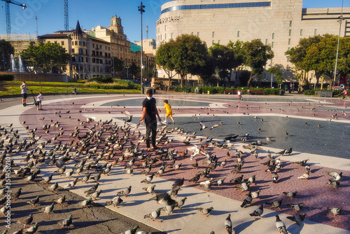 Pigeons in Plaza Cataluña of Barcelona during Coronavirus pandemic. Spain