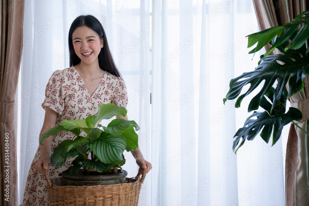 Asian girl Water the plants in house, this image can use for Calathea orbifolia Asian girl Water the plants in house, this image can use for Calathea orbifolia