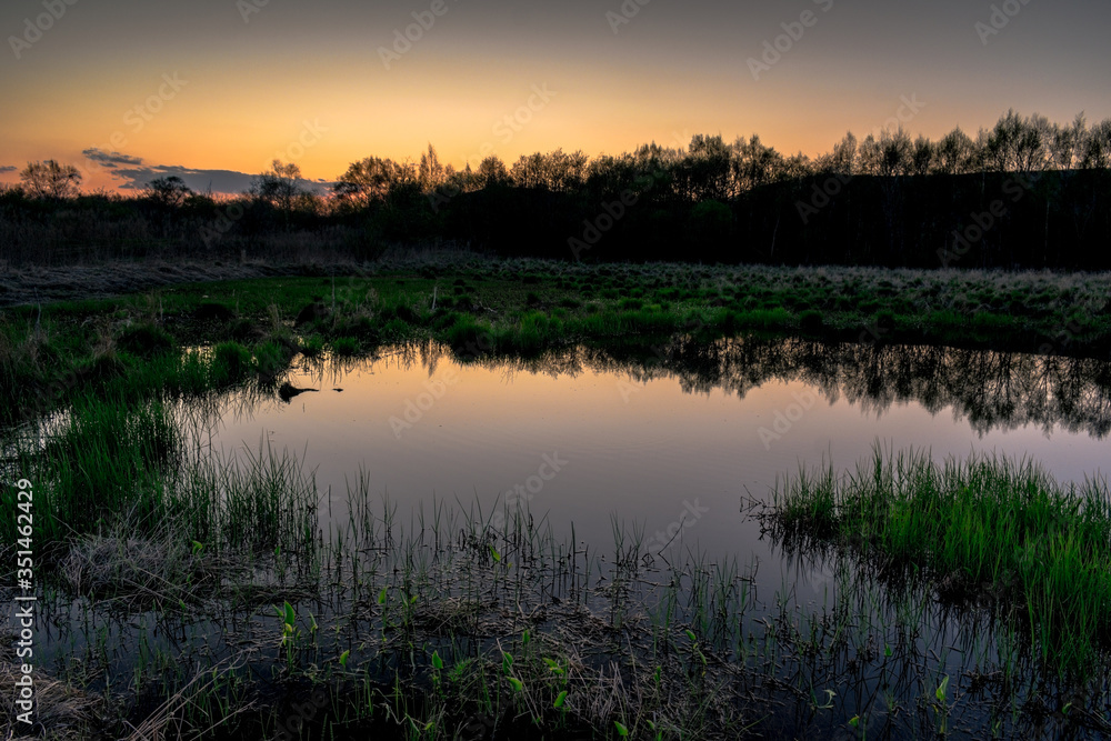 Fototapeta premium Sunset over a pond with young green grass and a reflective surface of the water