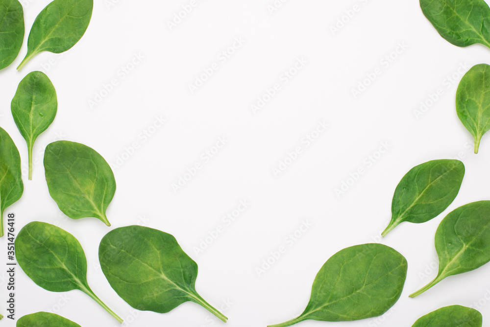 Top above overhead view photo of baby spinach placed on the sides making center empty isolated on white background