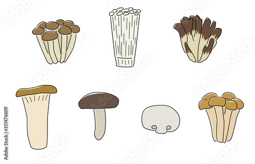 いろいろなきのこ