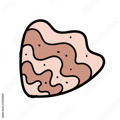 color vector element, black and white drawing of a marine inhabitant, shell