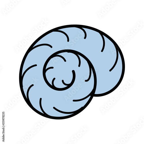 color vector element, black and white drawing of a marine inhabitant, shell