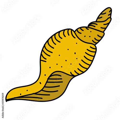 color vector element, black and white drawing of a marine inhabitant, shell