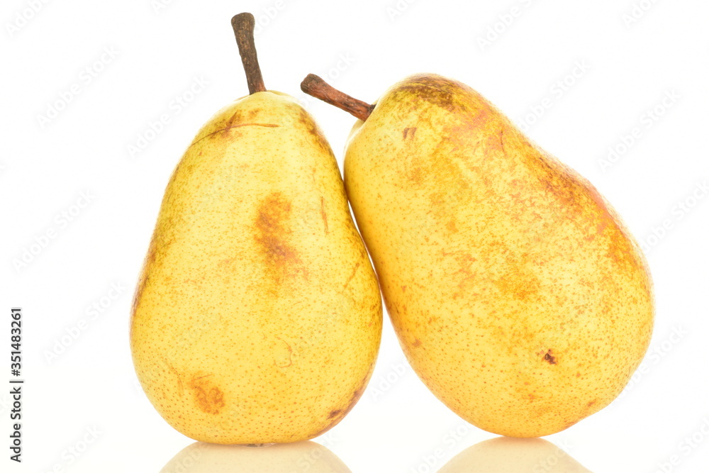 Juicy sweet, organic pears, close-up, on a white background. Juicy sweet, organic pears, close-up, on a white background.