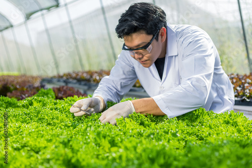 Scientists test the solution, Chemical inspection, Check freshness  at organic, hydroponic farm. © Charnchai saeheng