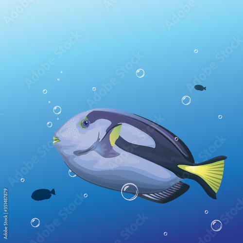 A blue tang fish illustration.
