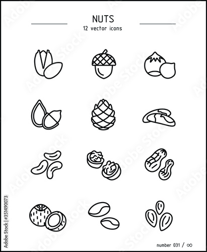 Vector images of different types of nuts