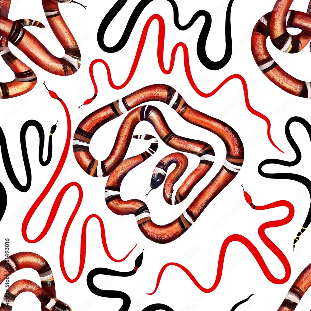 Exotic pattern seamless with king mexican, red and black snakes on white background. Hand drawn illustration