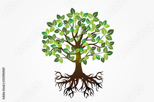 Logo tree roots symbol of life vector image design