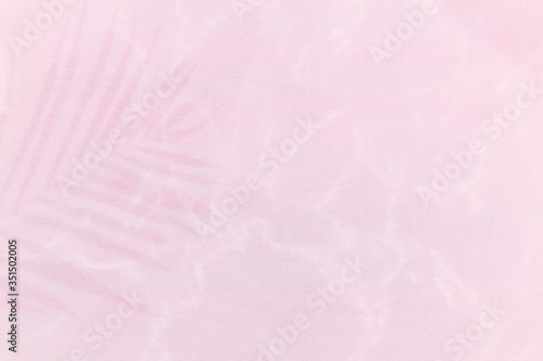 Palm leaf shadow on a light pink background