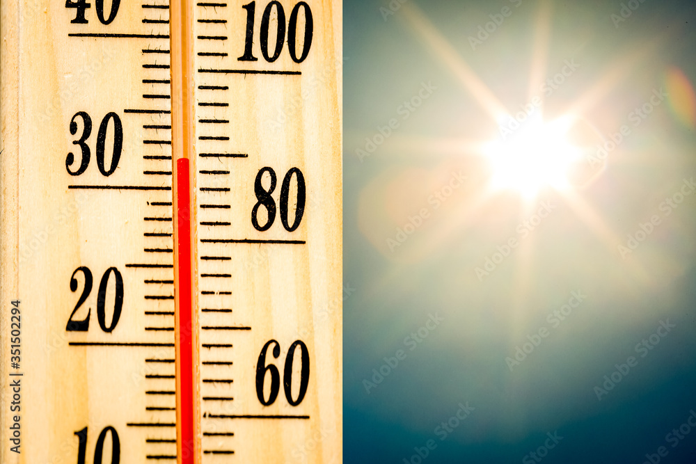 Temperature Thermometer - obrazy, fototapety, plakaty 