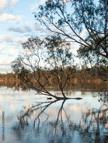 Reflections on the River Murray
