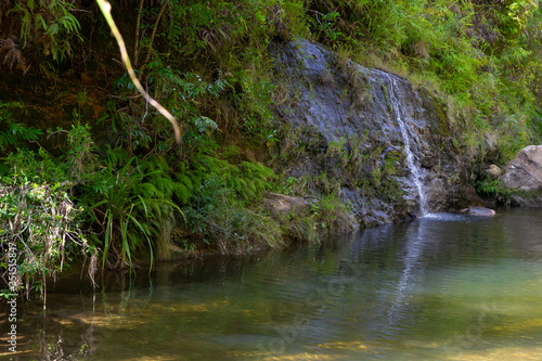 A lake with a small waterfall surrounded by many plants