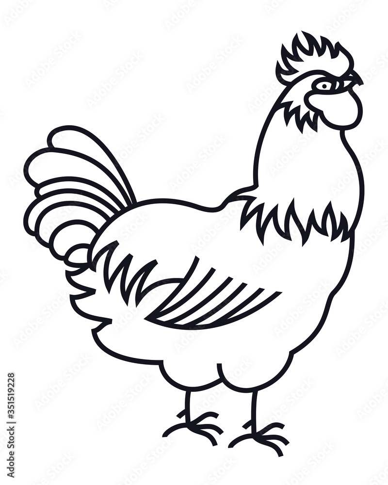 Rooster Farm animals Poultry farming Line art design Rooster Farm animals Poultry farming Line art design