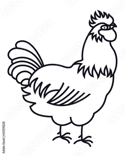 Rooster Farm animals Poultry farming Line art design