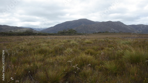 Great plain of Melaleuca, the Southwest National Park, Tasmania, Australia