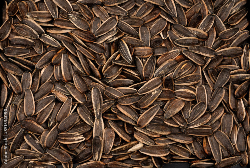 Organic Black sunflower seeds. For texture or background Organic Black sunflower seeds. For texture or background