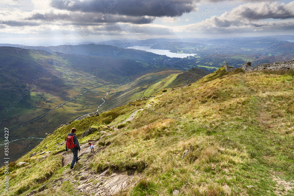 A hiker and their dog descending the summit of High Pike, Scandale beck below, Red Screes to the left and Lake Windermere in the distance on a sunny day in the Lake District.