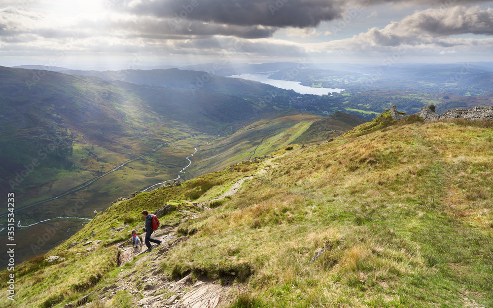 A hiker and their dog descending the summit of High Pike, Scandale beck below, Red Screes to the left and Lake Windermere in the distance on a sunny day in the Lake District.