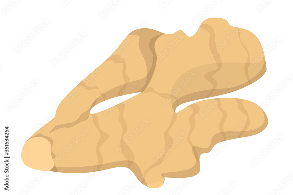 Ginger vector isolated. Natural ingredient, organic spice Ginger vector isolated. Natural ingredient, organic spice