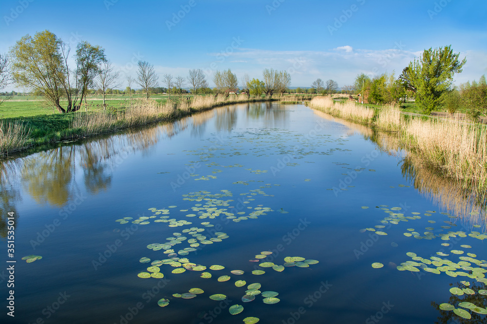 River, trees and blue sky. Beautiful spring landscape, Zulawy Wislane in Poland