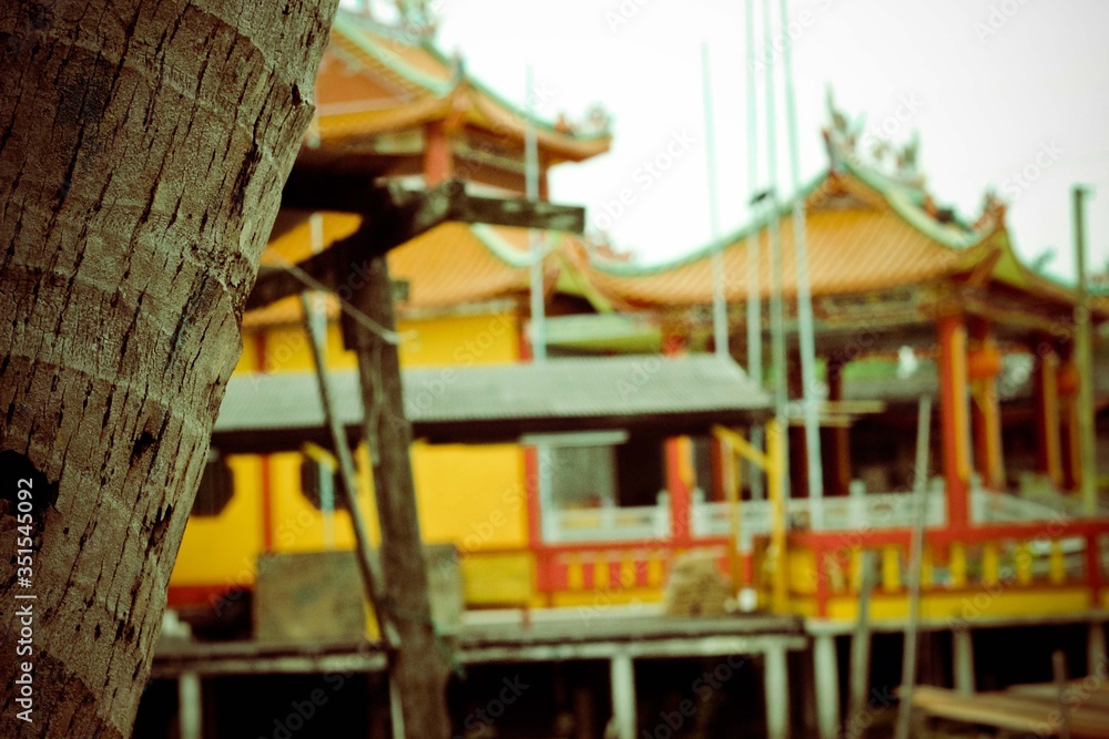 trees at the side with a yellow temple