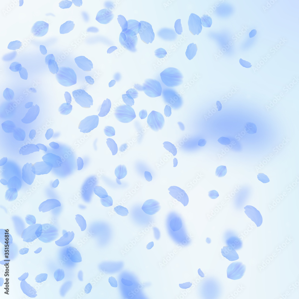 Dark blue flower petals falling down. Extraordinar Dark blue flower petals falling down. Extraordinar