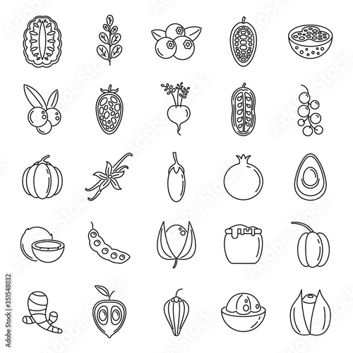 Modern superfood icons set. Outline set of modern superfood vector icons for web design isolated on white background