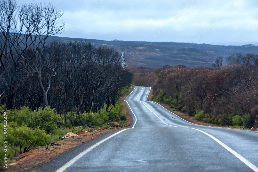 An asphalt road winds through the Australian landscape. An asphalt road winds through the Australian landscape.