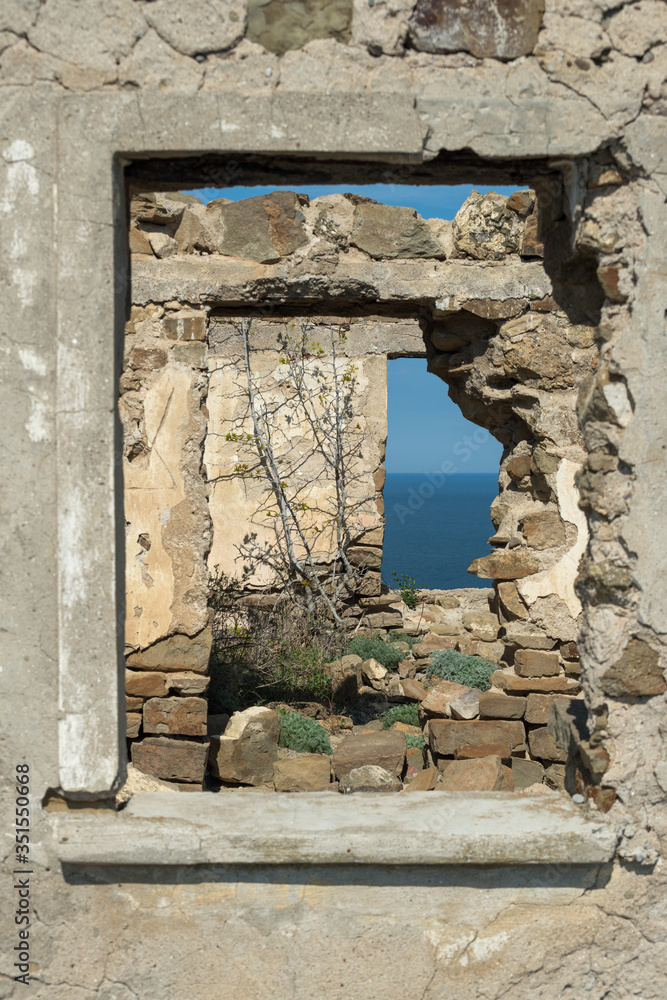 View through old abandoned dilapidated building with plants inside on the seashore View through old abandoned dilapidated building with plants inside on the seashore