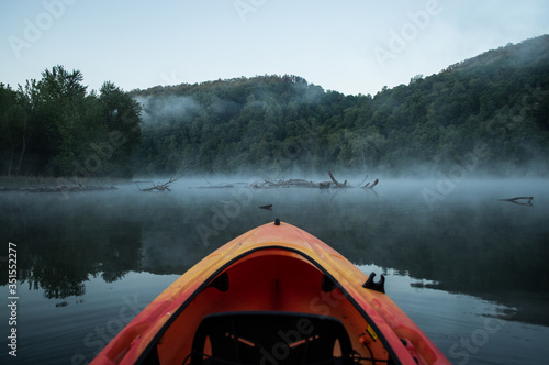Paddling into log infested waters on a cool foggy morning.