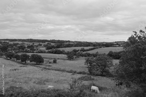 British Fields photo