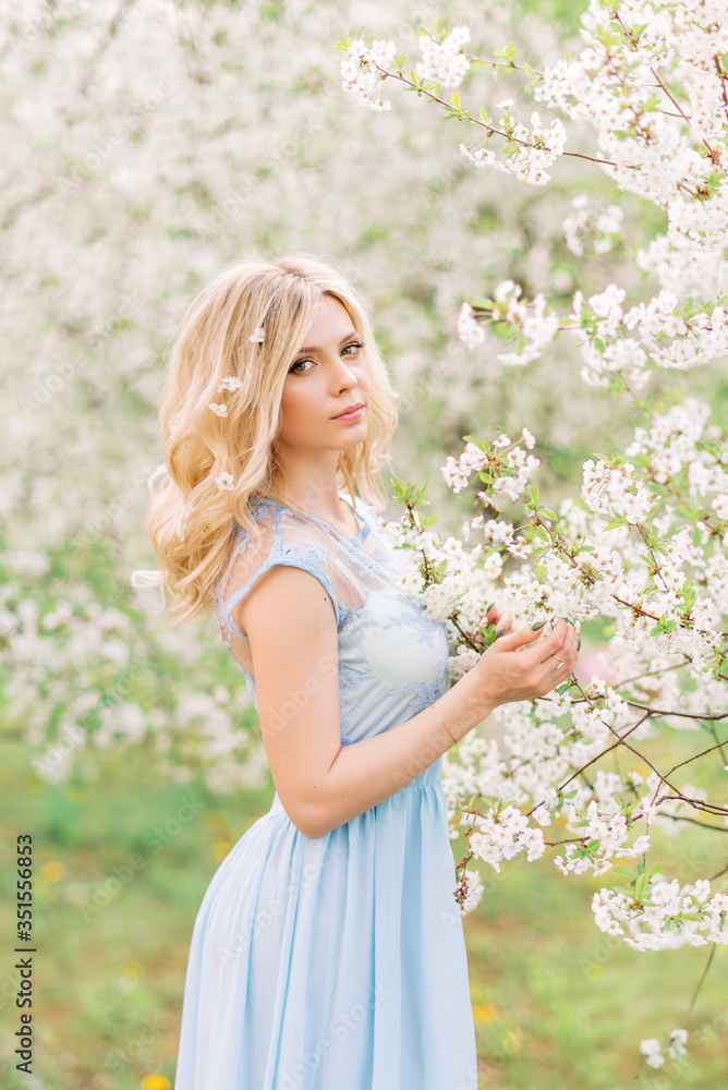 girl in a blue dress in the spring garden. On a background of white flowers girl in a blue dress in the spring garden. On a background of white flowers