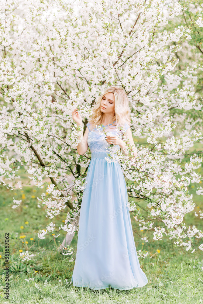 woman in a long blue dress in a spring garden. Tender photo with white flowers