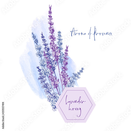 Cute card with of hand drawn sketch of Lavender flower and small bow isolated on white background. France retro pattern for romantic design concept. Text Aroma of Provence Vintage illustration.