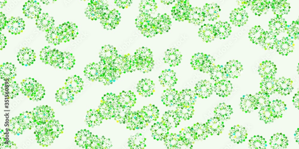 Light green, yellow vector natural layout with flowers. Light green, yellow vector natural layout with flowers.