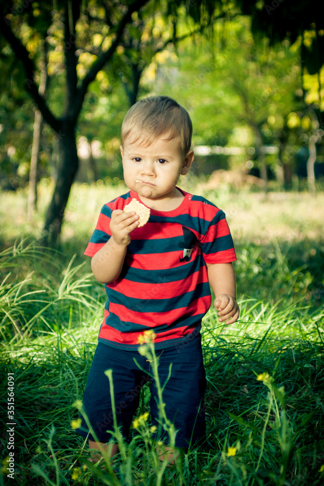 little boy eating cookies in nature little boy eating cookies in nature